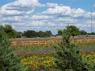 Wild Seed Farm